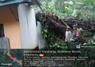 Pohon Tumbang Hantam Rumah Warga Mamuju Akibat Cuaca Ekstrem