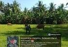 Babinsa Kalukku Perkuat Ketahanan Pangan Lewat Ternak dan Tanaman Produktif