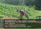 Babinsa Koramil 1418-03/Kalukku Laksanakan Pemeliharaan Ketahanan Pangan di Lahan Korem 142/Tatag